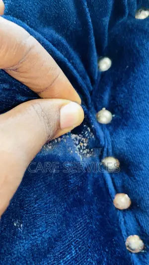 Bed Bugs Steaming Services
