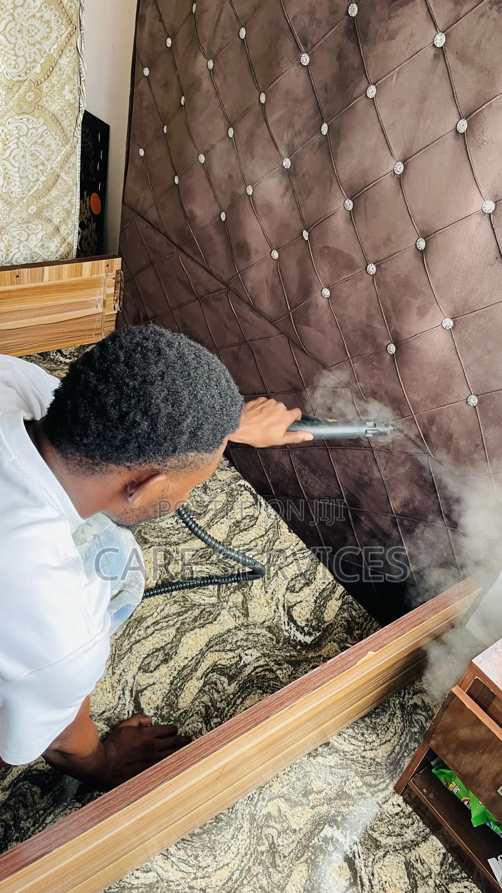 Bed Bugs Steaming Services