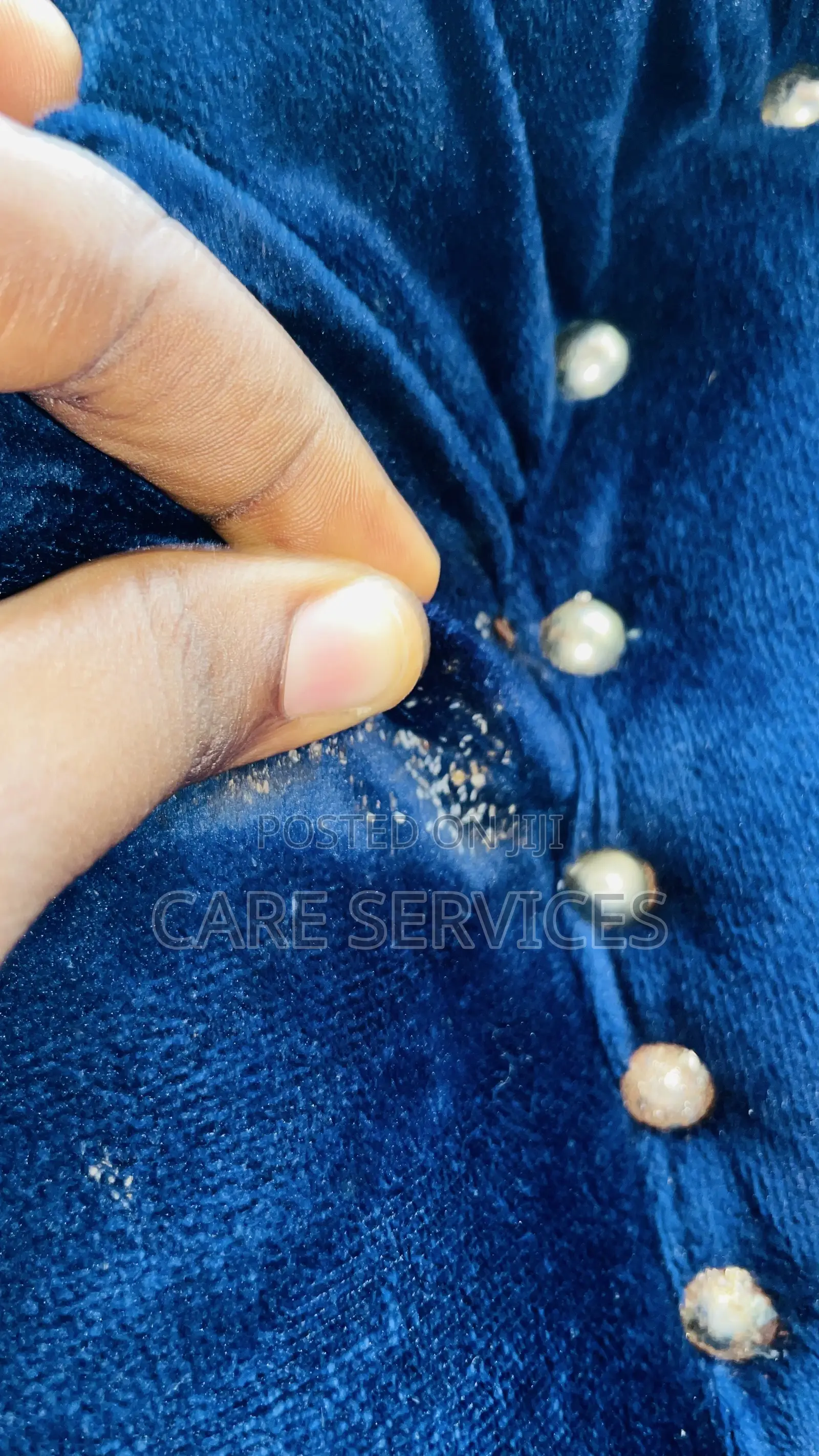 Lagos Best Bed Bugs Fumigation