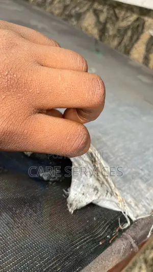 Lagos Best Bed Bugs Fumigation