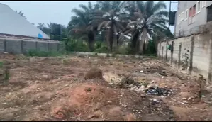 1 and Half Plot of Land