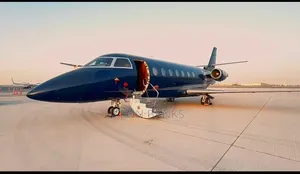 A Luxury Private Jet(Gulfstream G200) for Sale