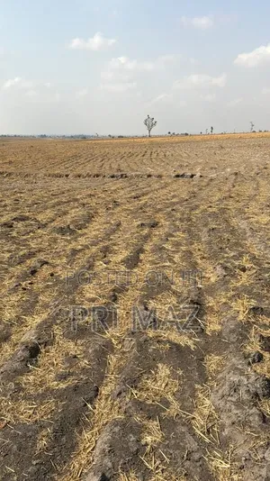 Residential Plots