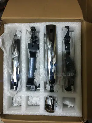 Door Handle Toyota Land Cruiser 2023