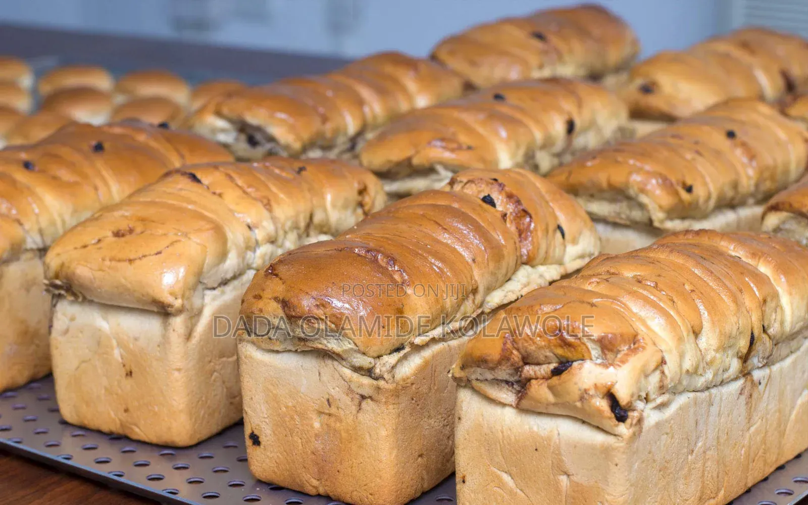 Head Baker ( All Kind Of Bread )