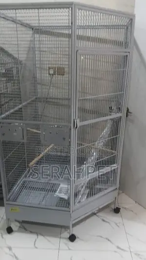 Imported Parrot Cage for Sale