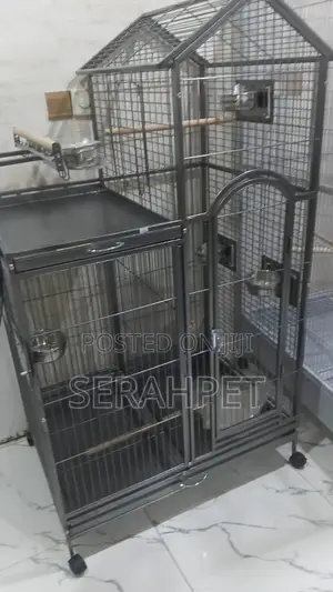 I Sell Parrot Cage