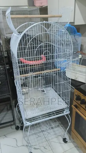Beautiful Parrot Cage for Sale