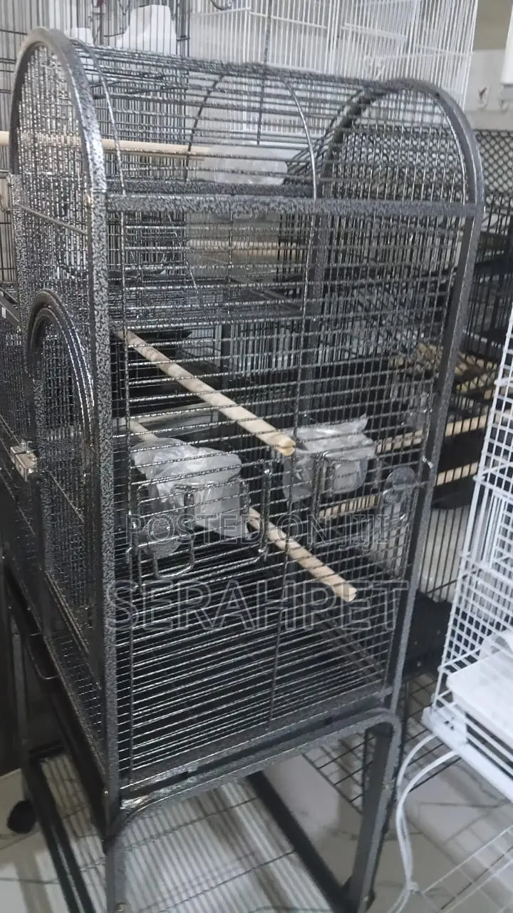 Imported Bird Cage for Sale