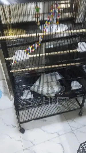 Foreign Bird Cage for Sale