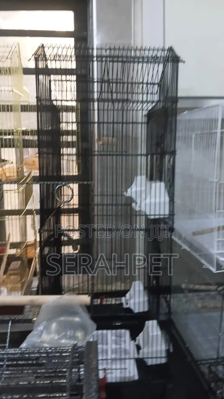 Beautiful Bird Cage for Sale