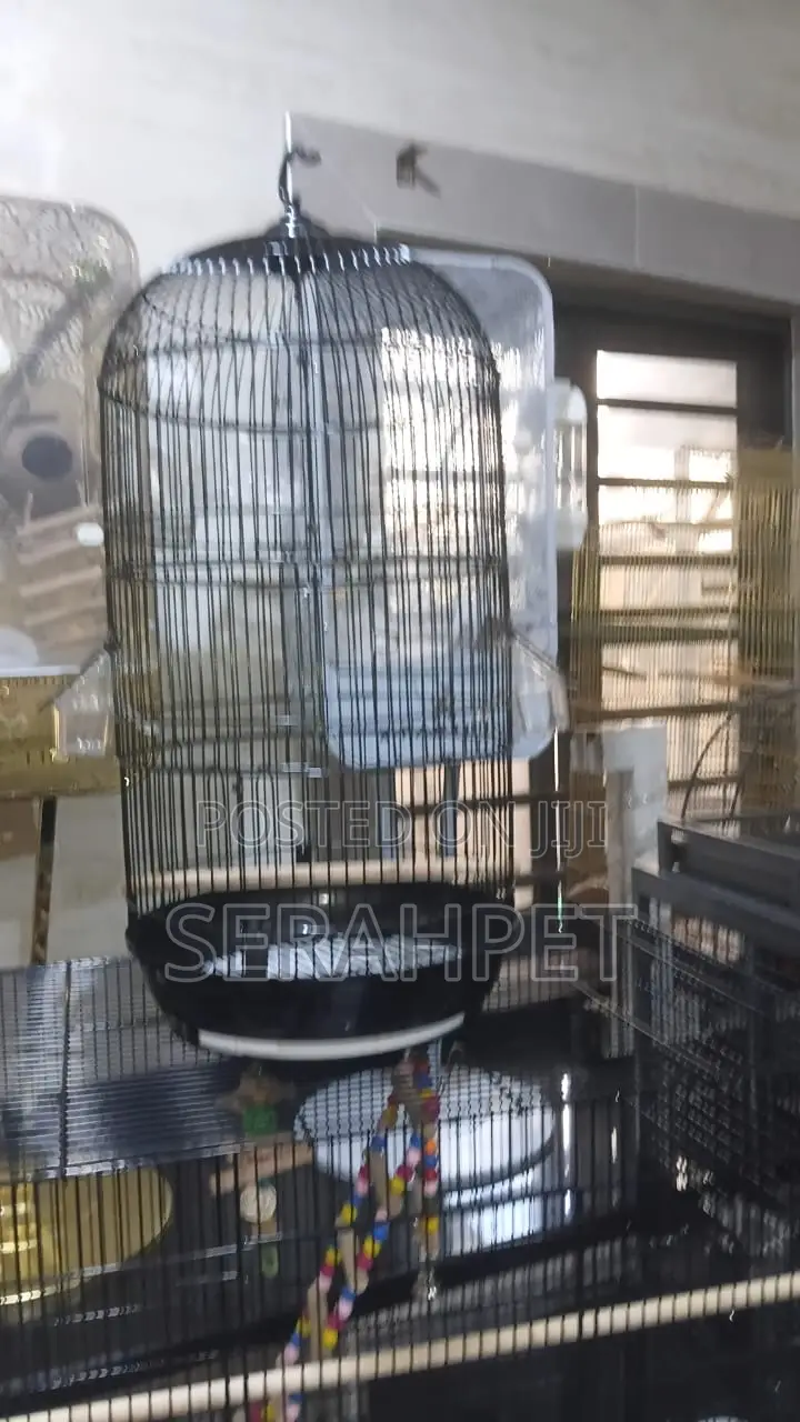 Foreign Cage for Sale