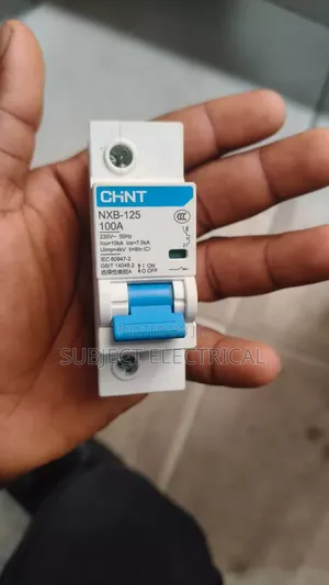 100amps Single Pole Breaker MCB Chint
