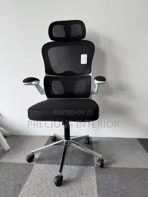 Ergonomic Office Chair