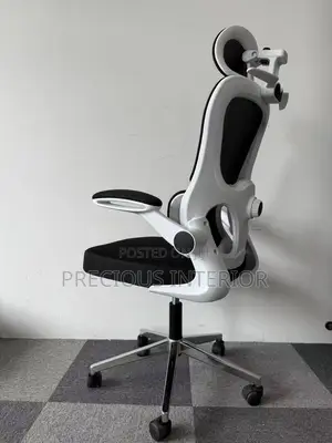 Ergonomic Office Chair