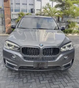 BMW X5 2015 Gray