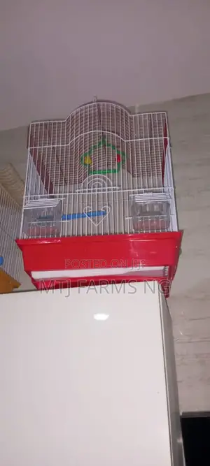 Parrot Cages Are Available