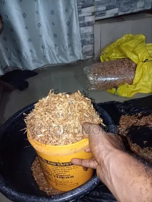 Crayfish Bucket