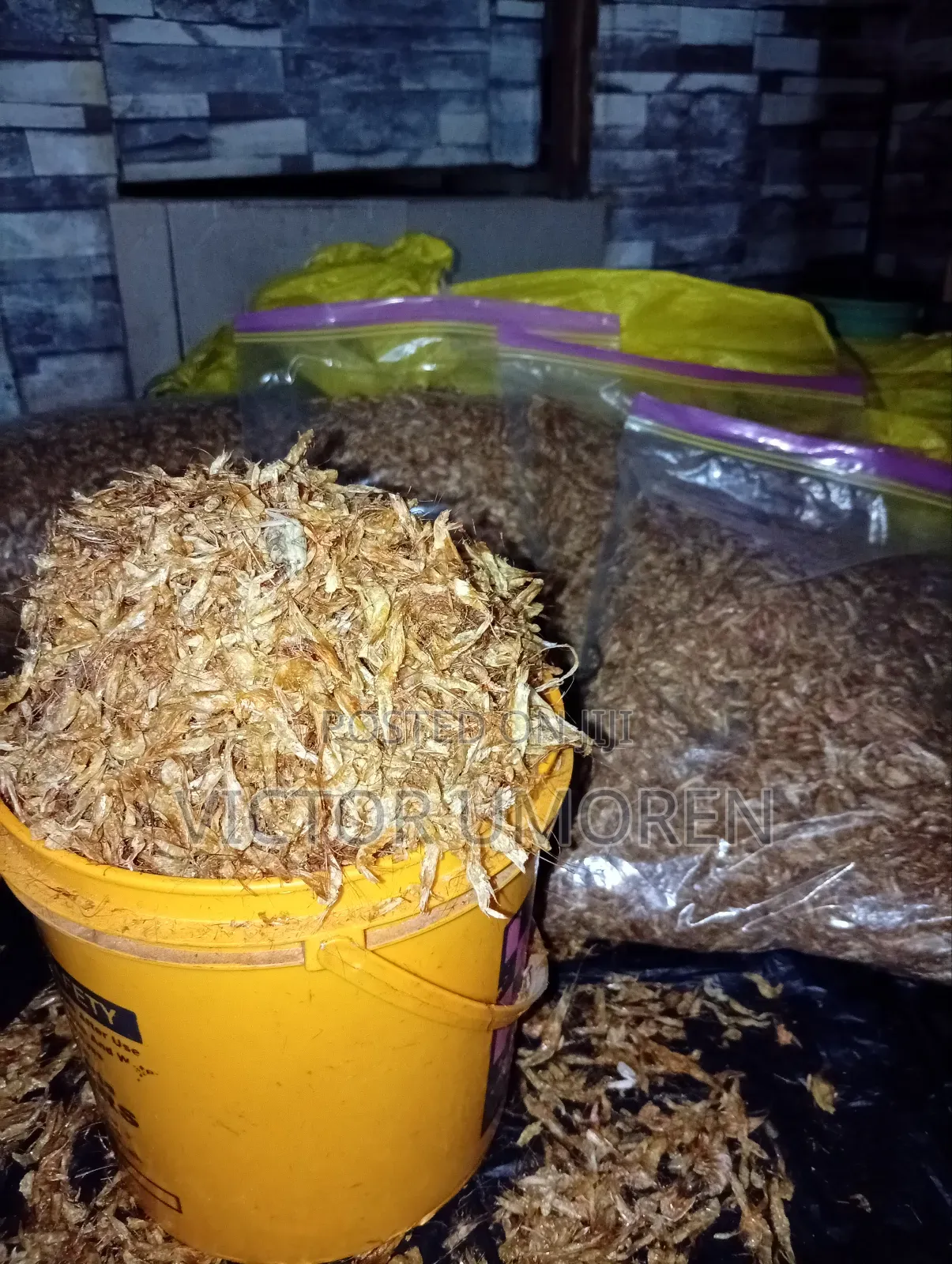 Crayfish Bucket