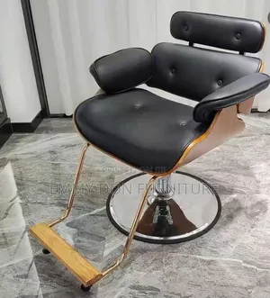 High Quality Swivel Salon Chair