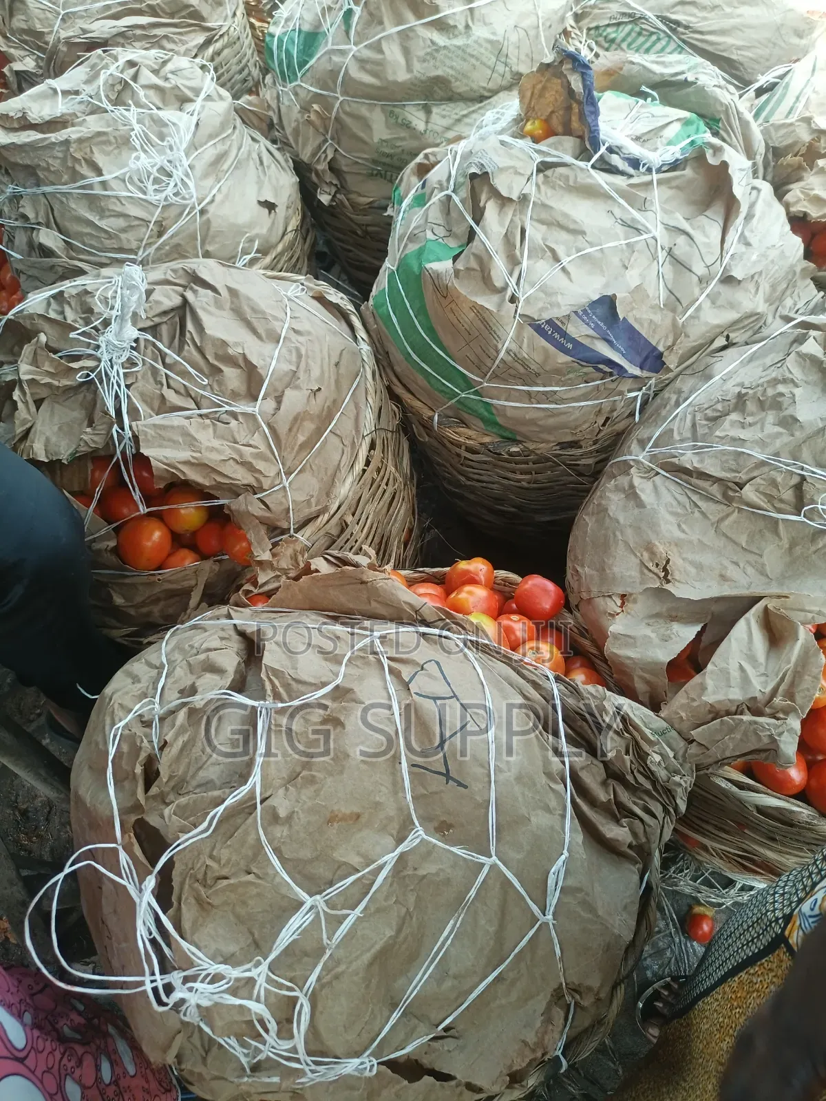 Fresh Tomatoes for Bulk Supply | Crates Baskets Available