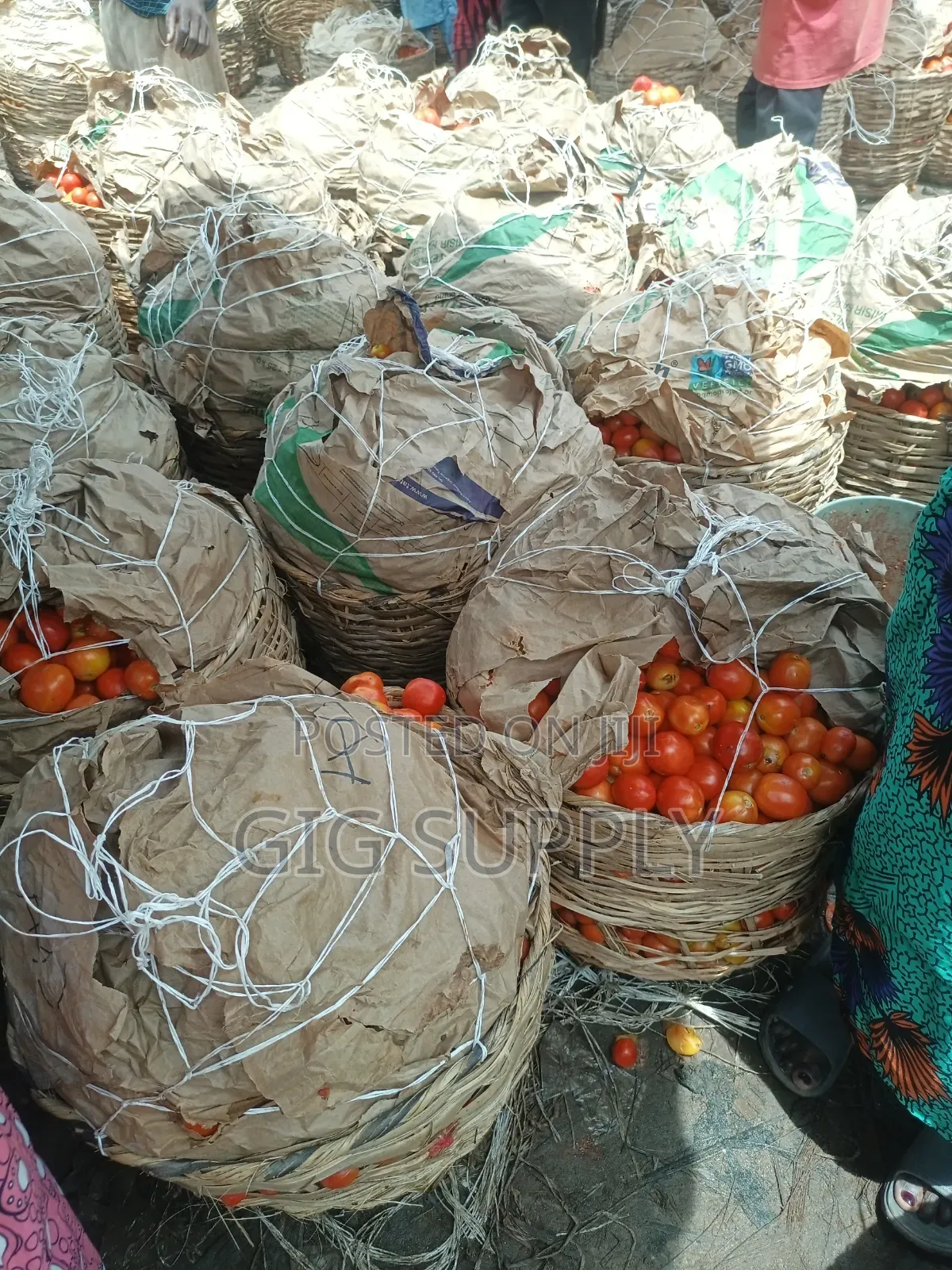 Fresh Tomatoes for Bulk Supply | Crates Baskets Available
