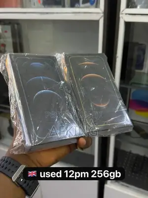 Apple iPhone 12 Pro Max 256 GB