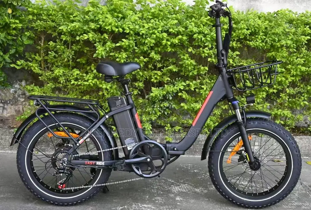 Foldable Electric E Bikes Bicycle With 7 Shimano Speed