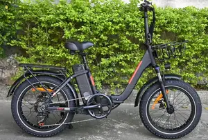 Foldable Electric E Bikes Bicycle With 7 Shimano Speed