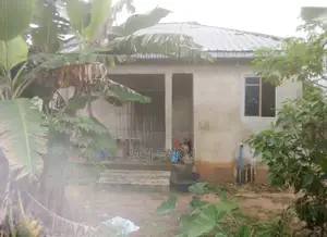 100/200 Farming Space and a Master Bedroom for Lease