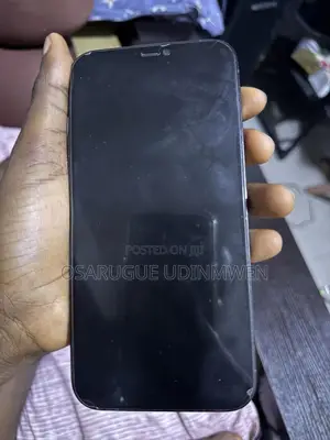 Apple iPhone 12 Pro Max 256 GB Blue