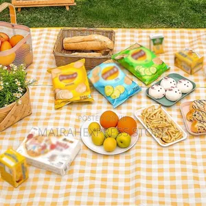 High Quality Waterproof Big Size Foldable Picnic Mat 1lvn