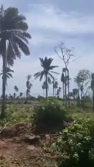Farmland for Sale at Ado Ekiti