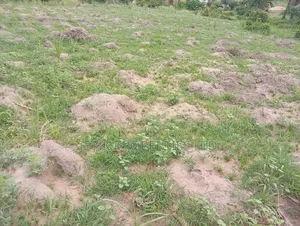 A Distress Plot of Land for Sale