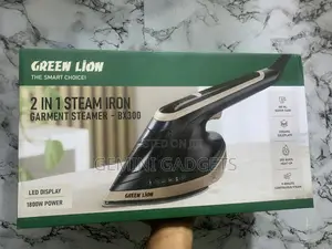 2in1 Steam Iron-Brand New