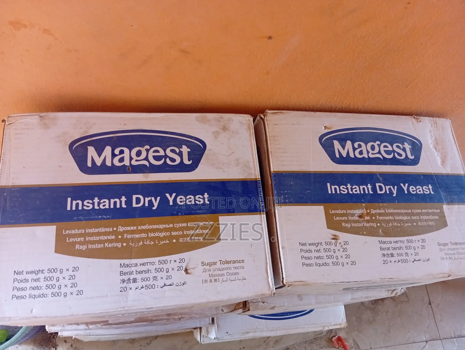 Magest Yeast