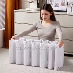 Shoe Storage Box