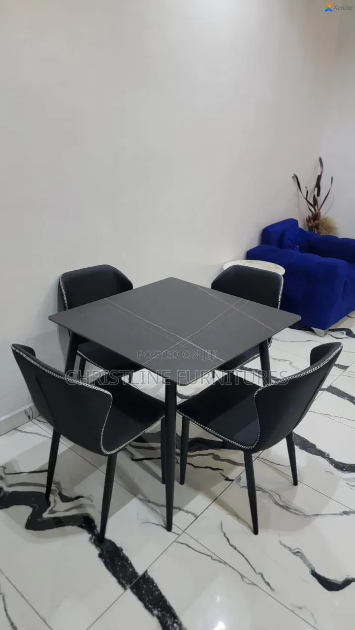Portable Dining Table by 4 Seaters