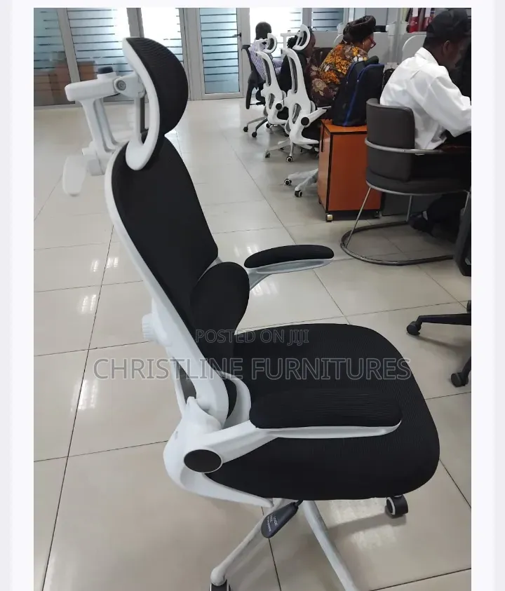 Executive Office Orgonomic Chair