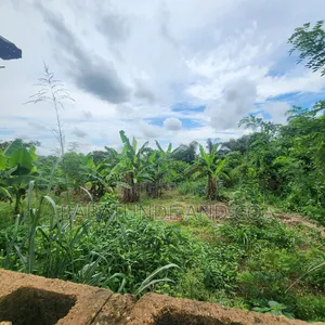An Acre of Land With 4 Fish Ponds for Lease at Omi Adio Ibadan
