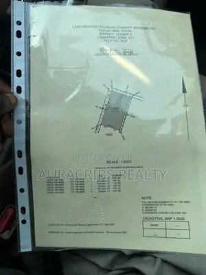 Certificate of Occupancy