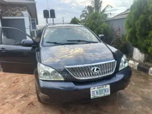 Lexus RX 330 2006 Gray