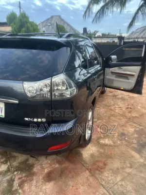 Lexus RX 330 2006 Gray