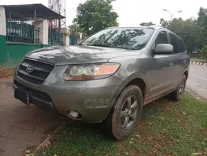 Hyundai Santa Fe 2007 Gray