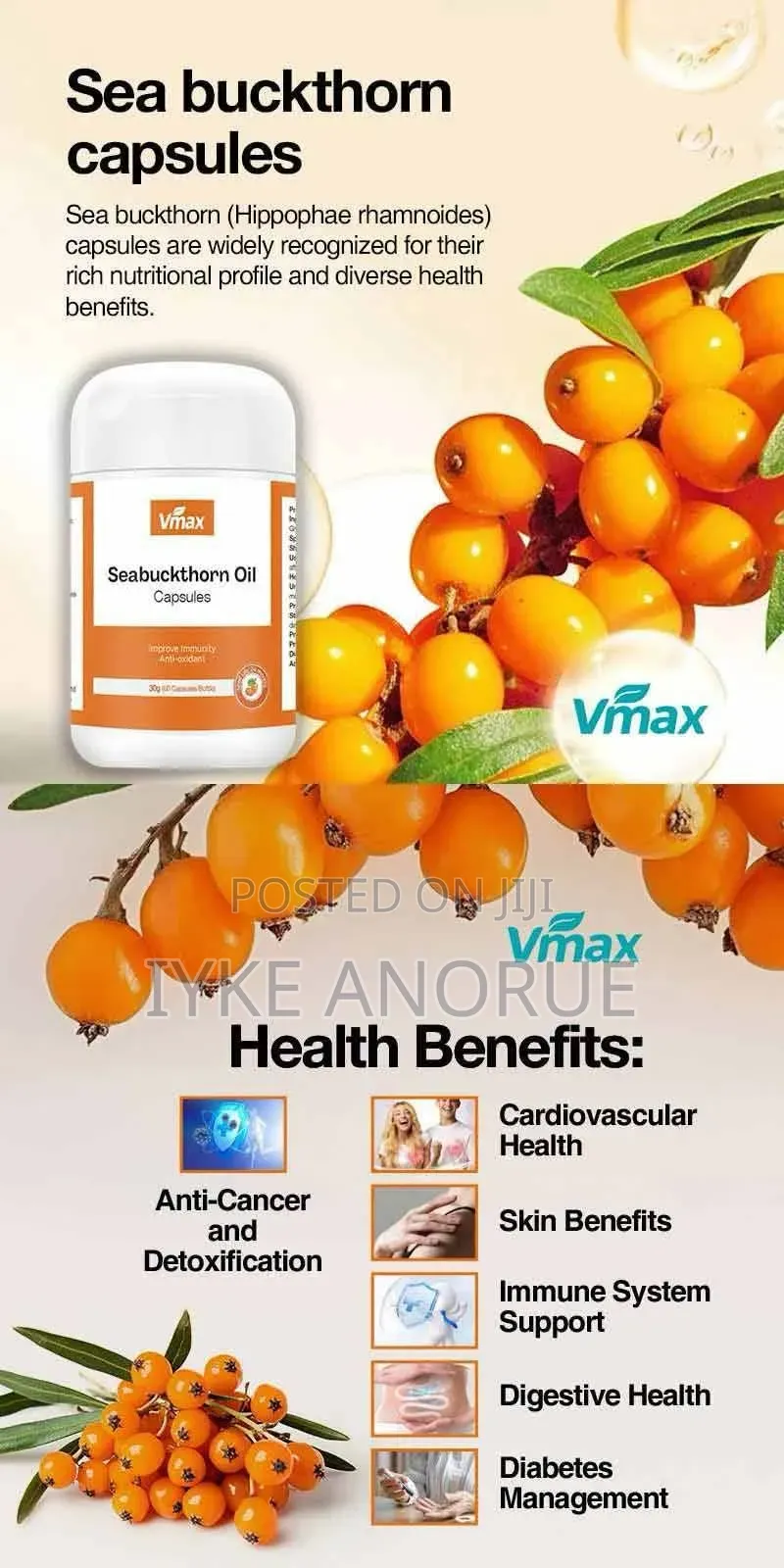 Health Is Wealth