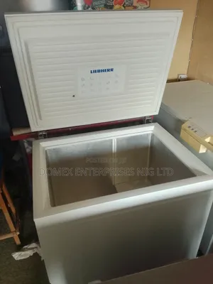 Liebherr Deep Freezer for Block