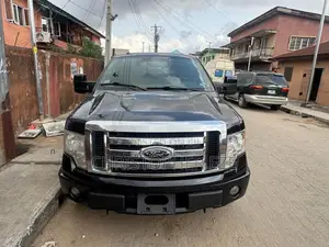 Ford F-150 FX4 2010 Black