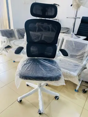 Black on White Ergonomic Chair