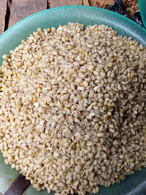 Food Stuff