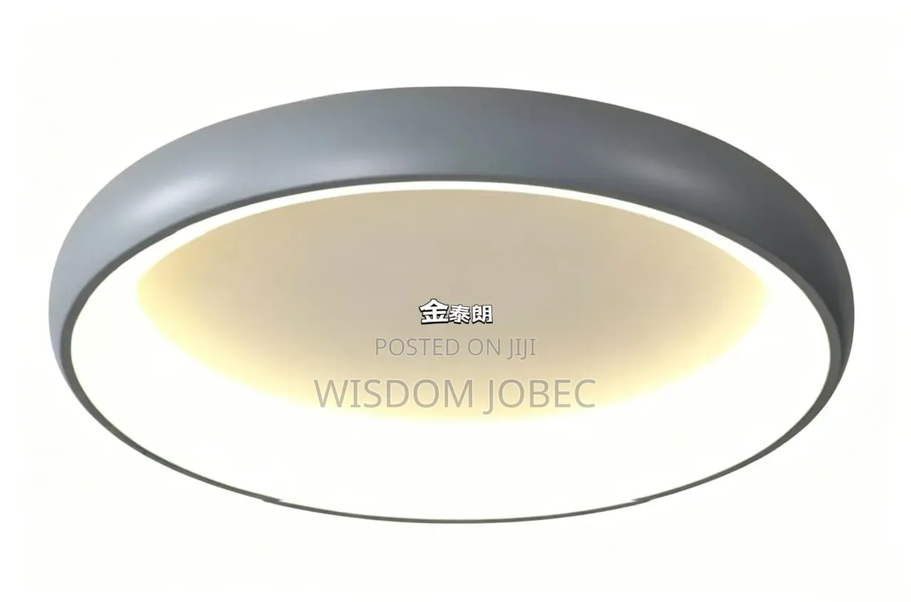 Modern Nordic Pebble-Shaped Ceiling Light